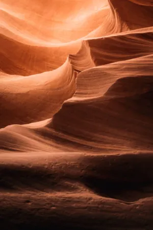 Canyon Waves
