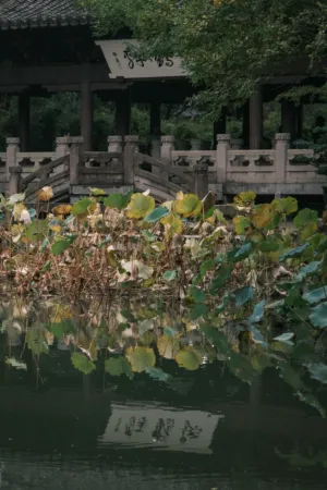 Ancient Chinese Garden