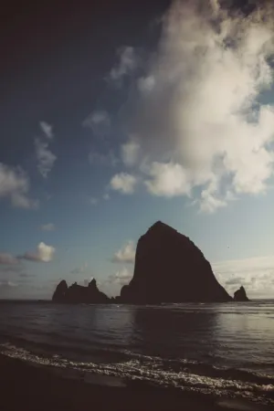 Beach Landscape