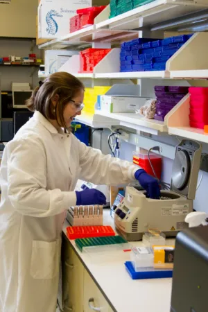 Scientist Working In Lab