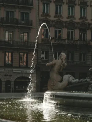 Fountain In Lyon