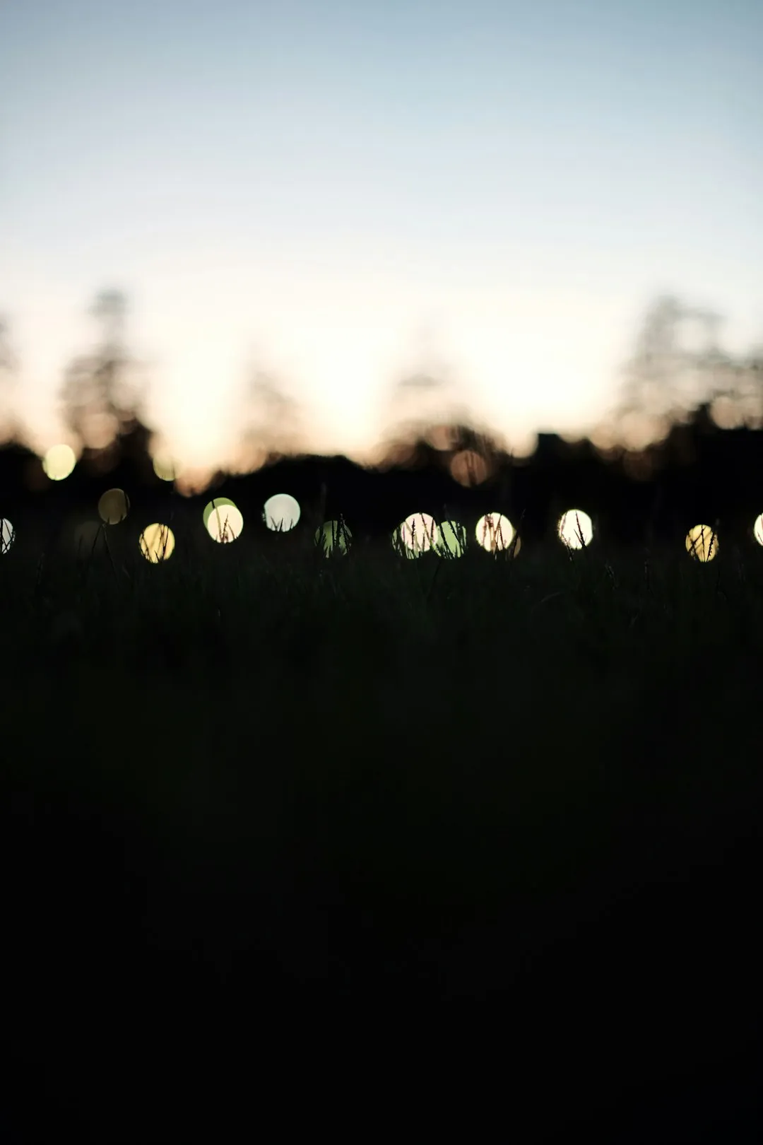 Twinkling Lights In The Field