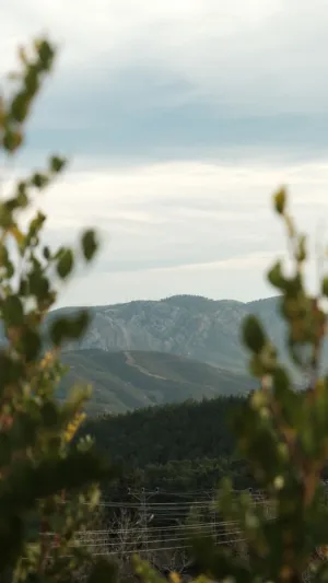 Mountain Landscape