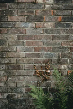 Brick Wall With Ivy
