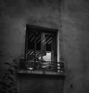 Window Reflection