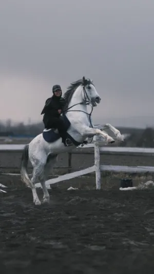 Riding A Horse In Action