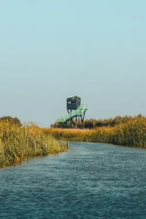 River And Watchtower