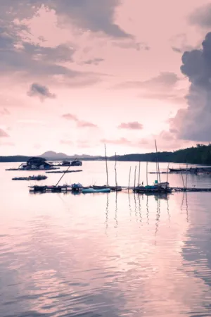 Pink Sunset Over The Water