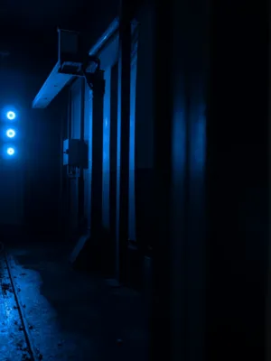Blue Night