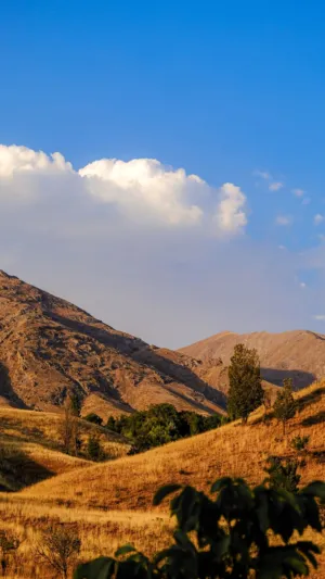 Sunlit Hills