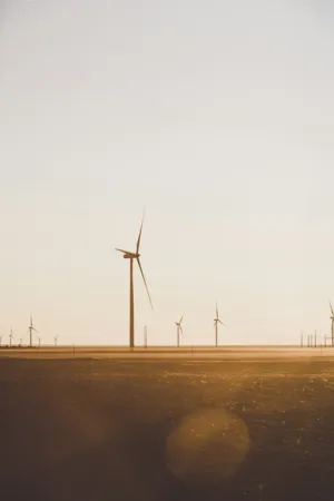 Wind Farm At Sunset