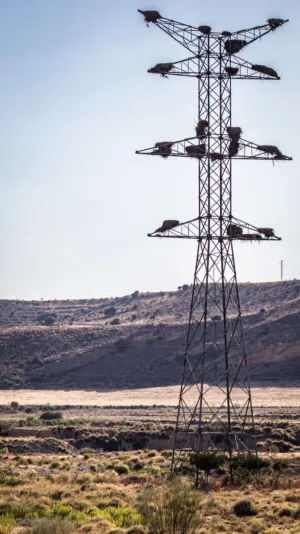 Electrical Pylon In Desert Landscape
