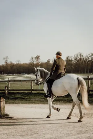 Equestrian Ride