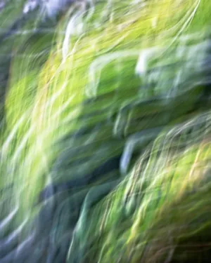 Blurred Grass