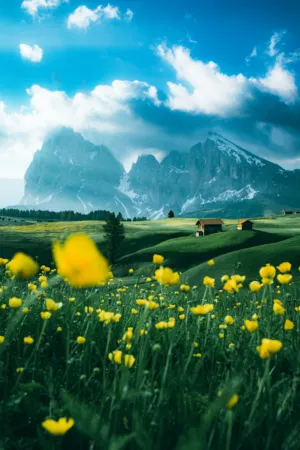 Alpine Landscape