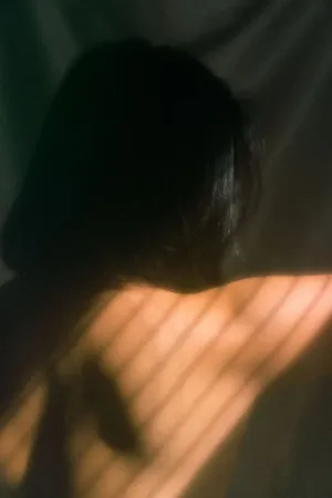 Sunlit Shadows