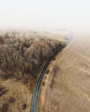 Curved Road Through Misty Landscape