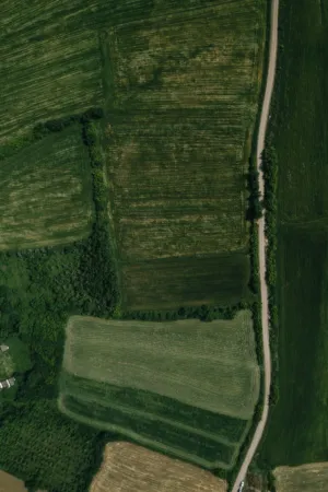 Aerial View Of Green Fields