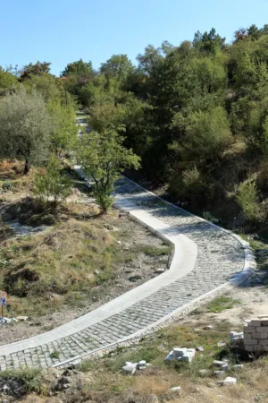 Cobbled Pathway In Nature