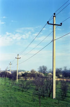 Telephone Poles In A Field