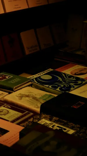 Bookshelf In Low Light