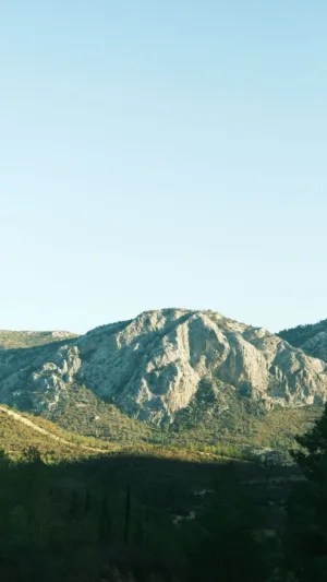 Rocky Mountain Landscape