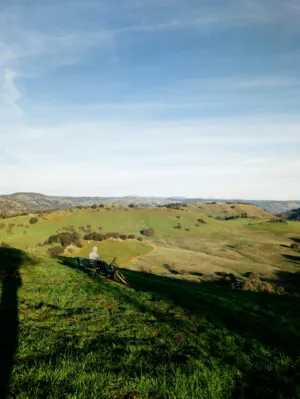 Green Hills And A Bench