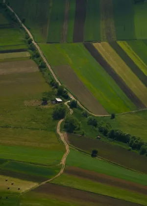 Aerial View Of Farmland