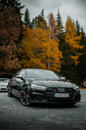 Black Audi In Autumn