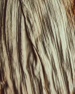 Wooden Texture