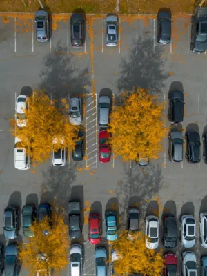 Autumn Parking Lot