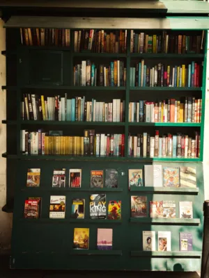 Bookshelf Display