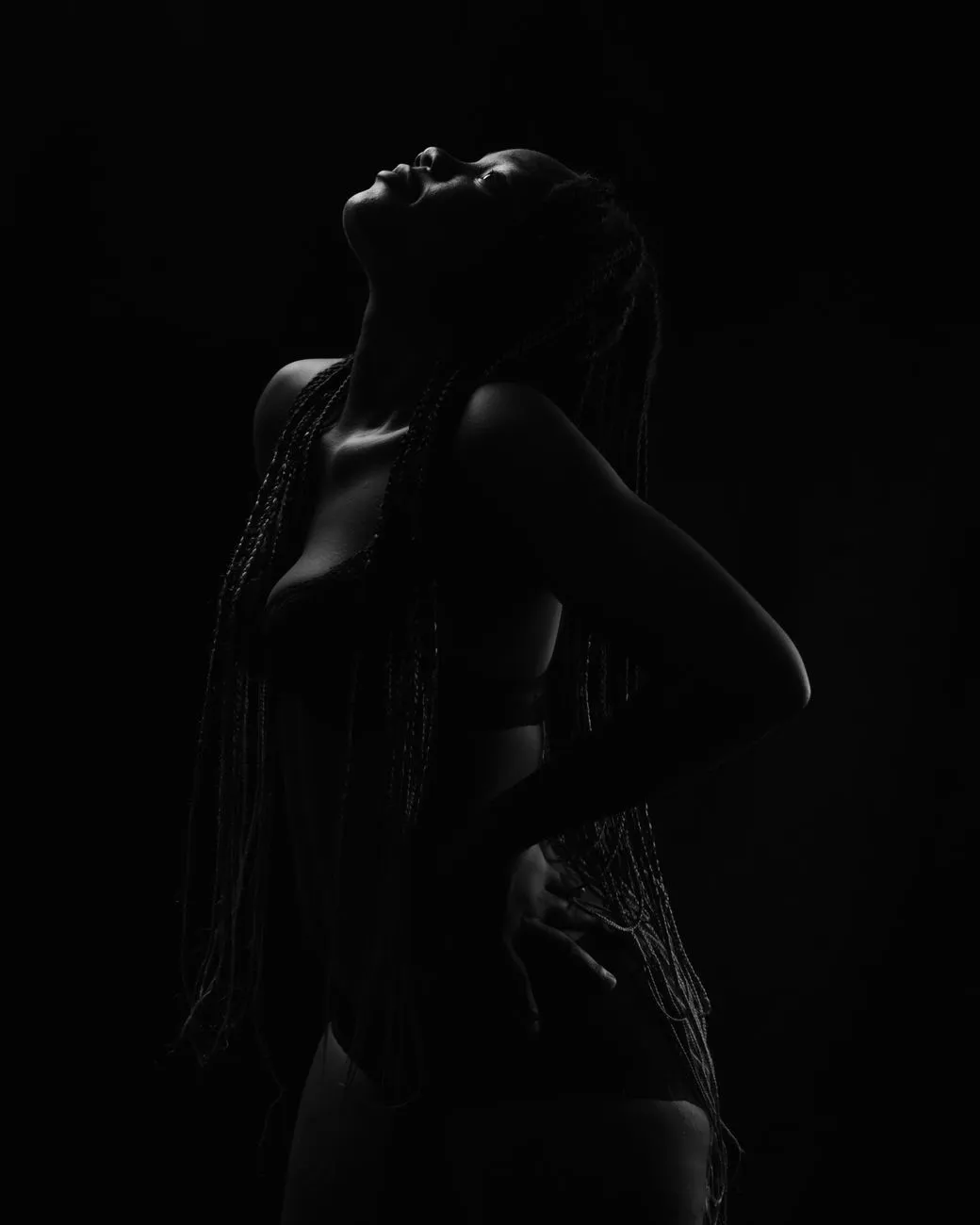 Silhouette Of A Woman With Braids