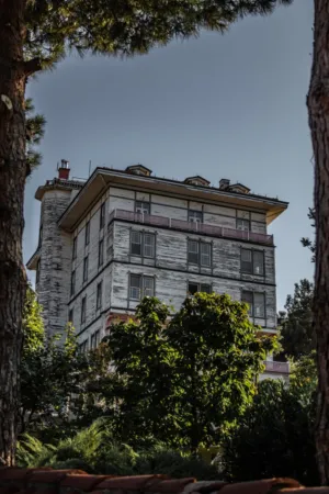 Wooden Building