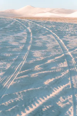 Desert Tracks
