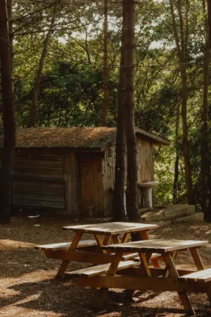 Wooden Picnic Tables In A Forest
