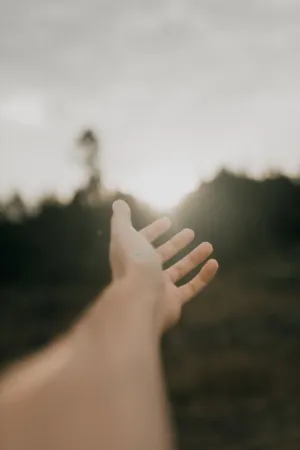 Hand Reaching For The Sun