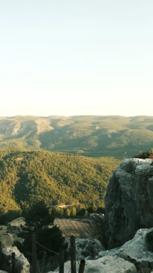 Mountain Vista