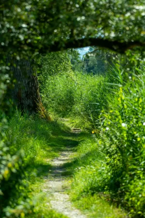 Green Pathway