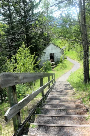 Abandoned Cabin In The Woods