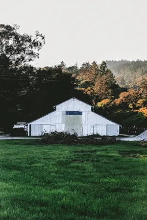 White Barn In Nature