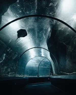 Underwater Tunnel