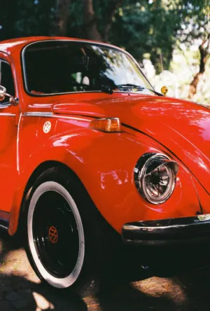 Classic Red Beetle