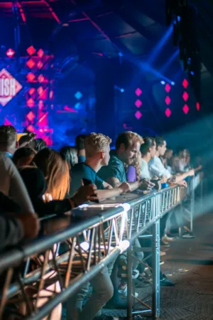 Concert Crowd