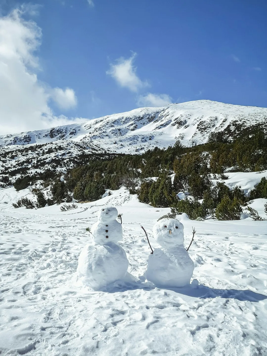 Snowmen In The Mountains