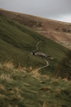 Hillside Home
