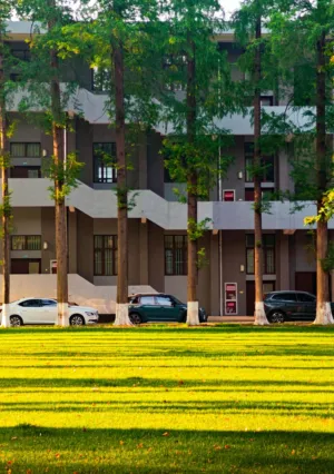 Modern Architecture With Greenery
