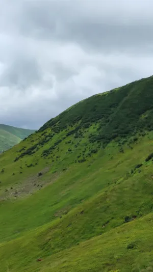 Green Hillside