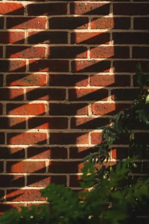 Brick Wall With Shadows