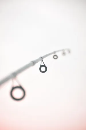 Fishing Pole